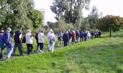 Blackley forest health walk