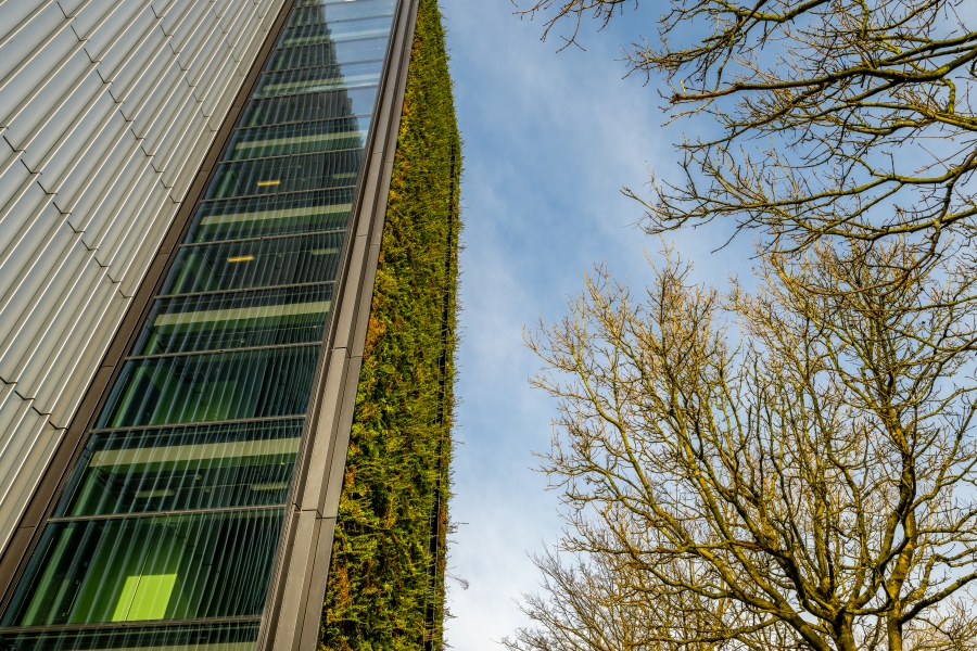 The green living walls at Ancoats Mobility Hub.