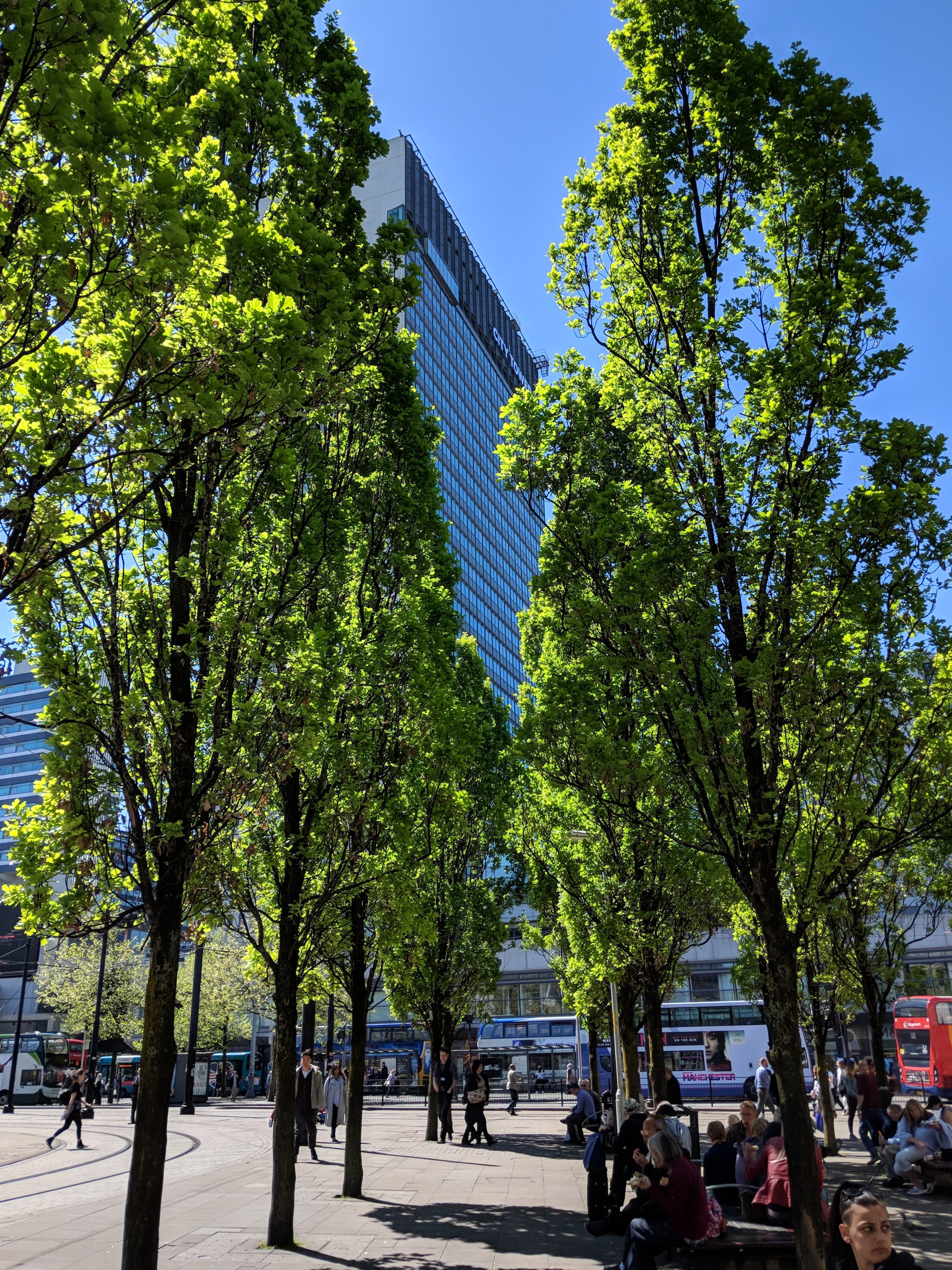 Trees in Piccadilly Gardens