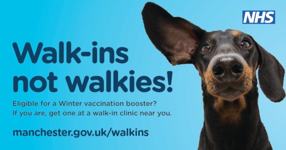 Picture of a sausage dog with its ear raised. Text reads "walk ins, not walkies"