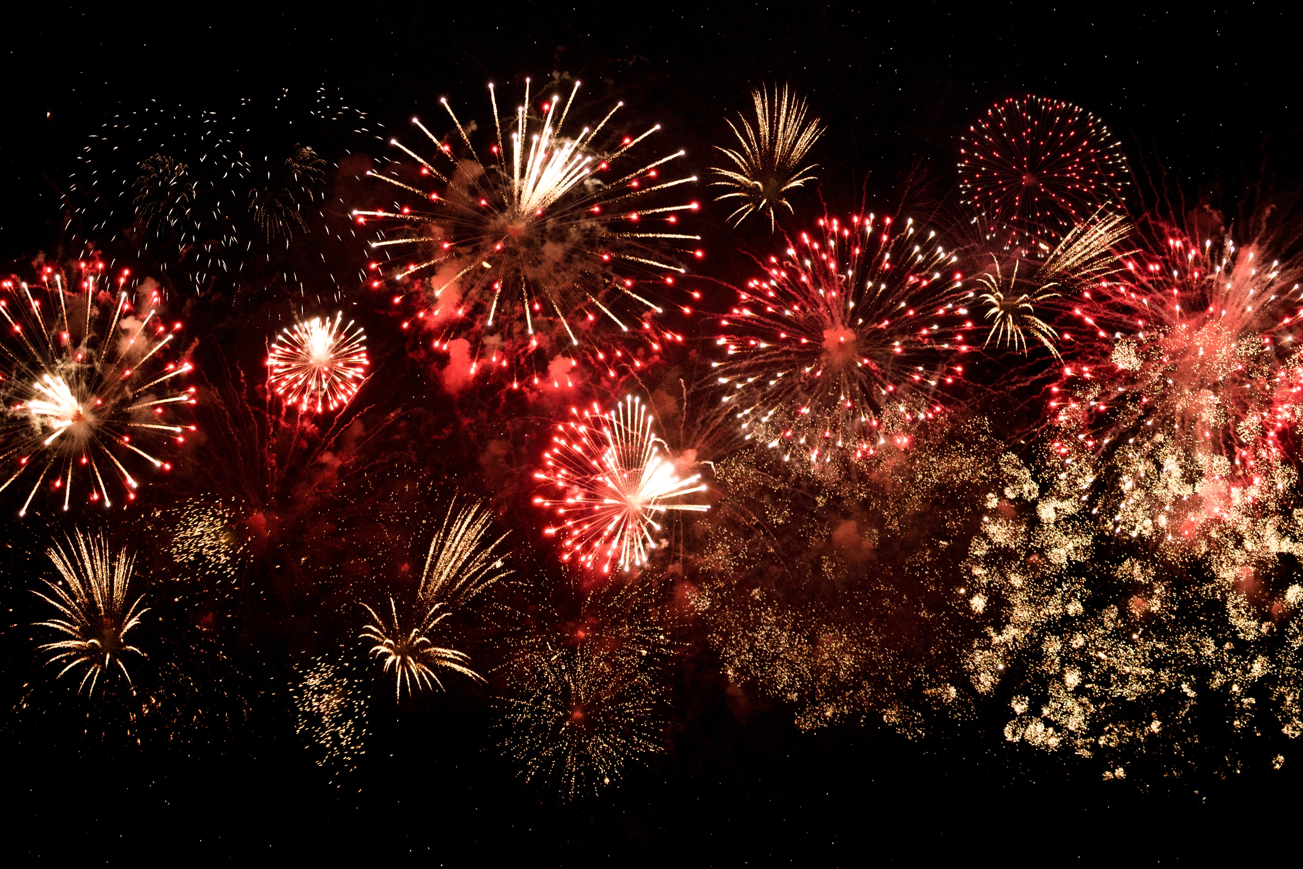 Fireworks exploding against a dark night sky