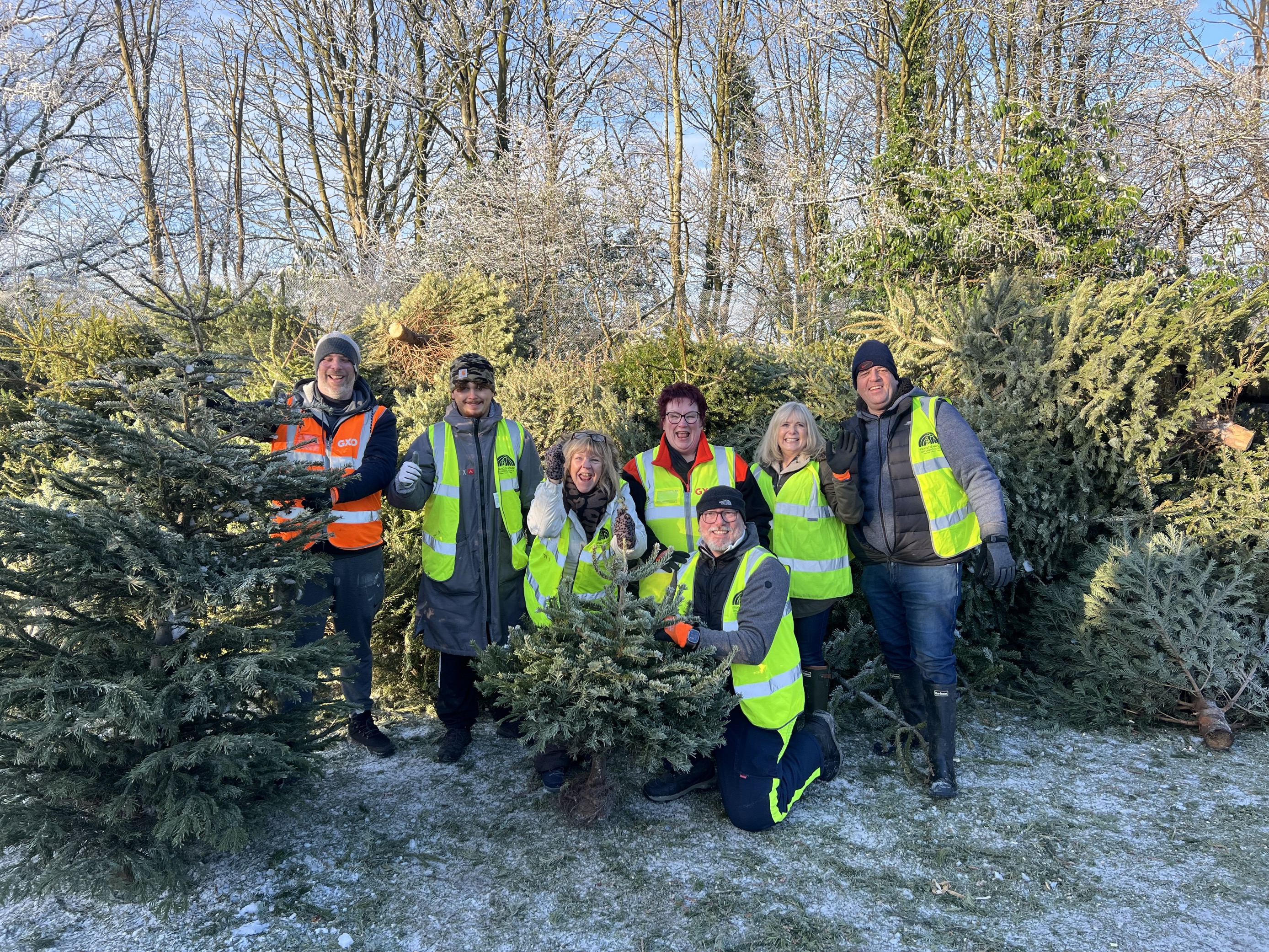 Recycling team with Christmas trees