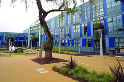 Loreto High School