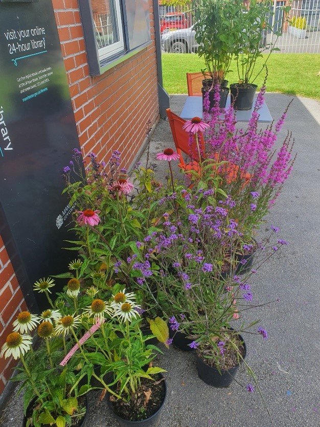 Hand-made Bee Garden in Miles Platting against a brick wall