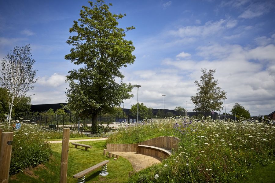 Wildflower planting and sustainable drainage at Gorton 'Sponge' Park