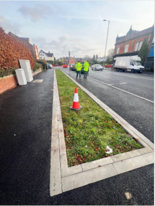 Image showing newly planted 'Rain Garden' drainage on Slade Lane
