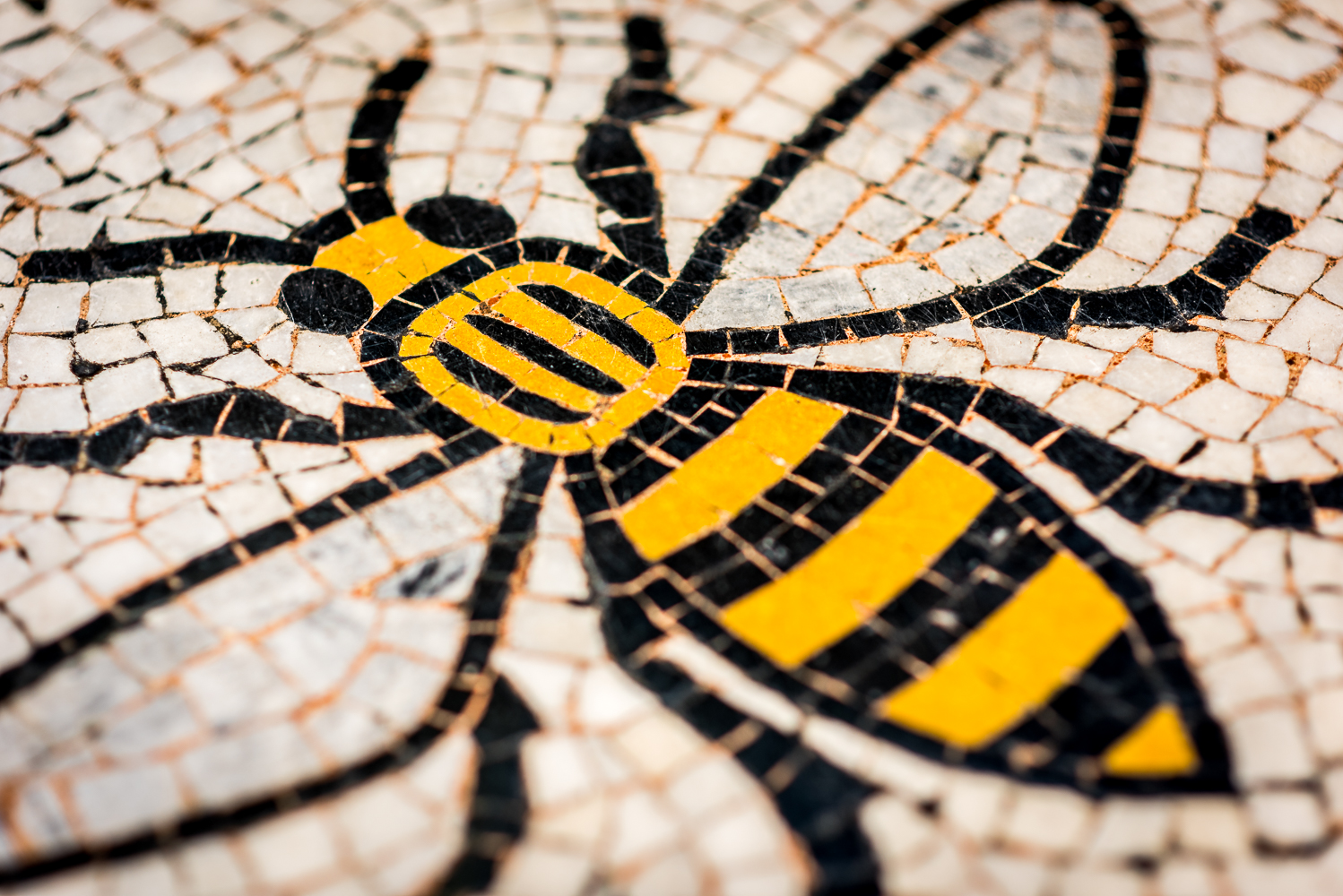 Photograph of one of the mosaic bees in the floor of the Town Hall