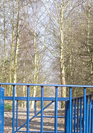 Irk river valley, Broadhurst Clough, 