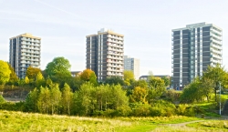 Collyhurst tower blocks from Irk Valley